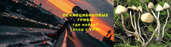 jwh Сосновый Бор