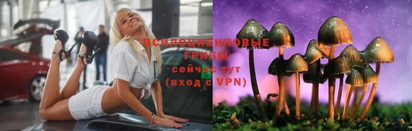 амф Сосновка