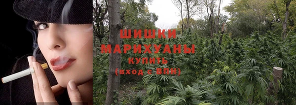 jwh Сосновый Бор
